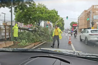 
			
				Veja imagens dos estragos causados pelas fortes chuvas em Maceió
			
			