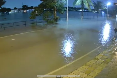 
			
				Mais de 50 municípios de Alagoas estão sob alerta de chuvas e ventos fortes
			
			