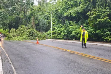 
			
				Chuva forte provoca queda de árvore e interdita pista na entrada do Aldebaran
			
			