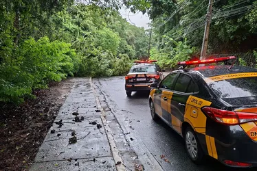 
			
				Chuva forte provoca queda de árvore e interdita pista na entrada do Aldebaran
			
			
