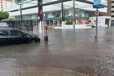 
			
				Chuvas em Alagoas: IMA alerta para riscos de banho de mar; veja os pontos impróprios!
			
			