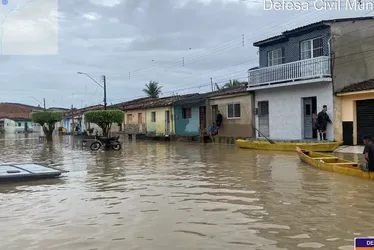
			
				Chuvas: veja quais rios e lagoas mais preocupam Defesa Civil
			
			