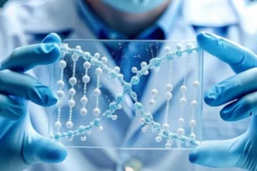 
			
				Com IA, cientistas encontram tratamento para paciente com doença rara
			
			