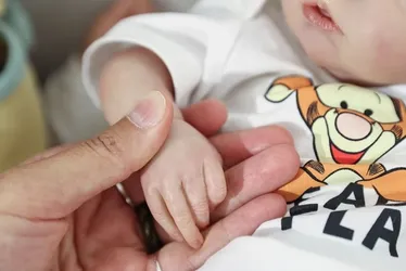 
			
				Deputado quer proibir atendimento a bebê reborn em hospitais
			
			