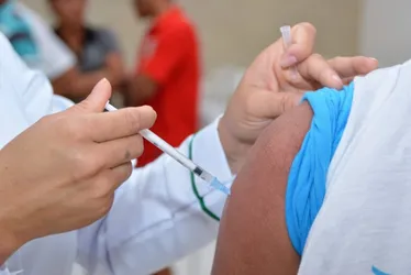 
			
				Dia D: saiba os locais de vacinação contra influenza em Alagoas
			
			