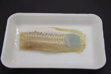 
			
				Embalagem 'mágica' muda de cor para avisar se peixe está estragado
			
			