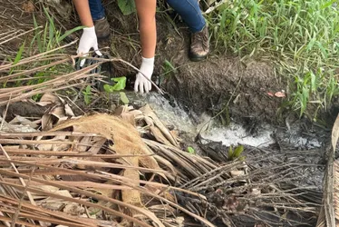 
			
				Empreendimento hoteleiro em Ipioca é autuado por lançamento irregular de efluentes em riacho
			
			