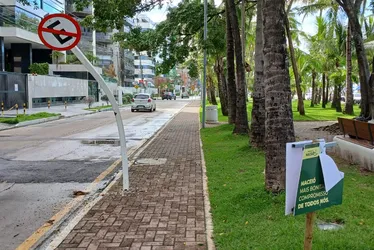 
			
				Equipamento despenca durante poda e deixa trabalhador ferido na Ponta Verde
			
			