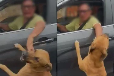 
			
				Homem em carro de luxo abandona cachorro e revolta moradora; veja vídeo
			
			