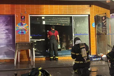 
			
				Mais de 10 gatos foram resgatados com vida de incêndio em loja na Jatiúca
			
			