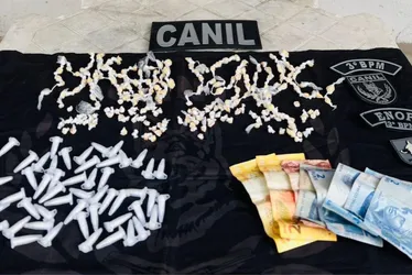 
			
				Mais de 650 embalagens de drogas são apreendidas pela polícia em Arapiraca
			
			