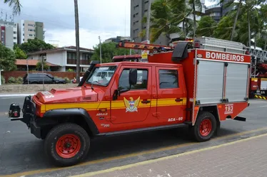 
			
				Militar do Corpo de Bombeiros é atacada por cachorro durante serviço no quartel
			
			