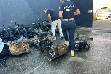 
			
				Desmanche clandestino de veículos: veja fotos e vídeos de operação
			
			