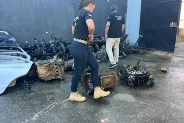 
			
				Desmanche clandestino de veículos: veja fotos e vídeos de operação
			
			