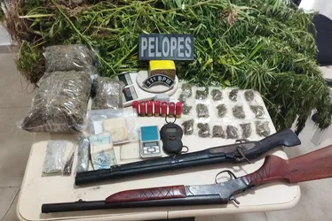 
			
				PM descobre plantação de maconha em ilha de Penedo e prende homem armado
			
			