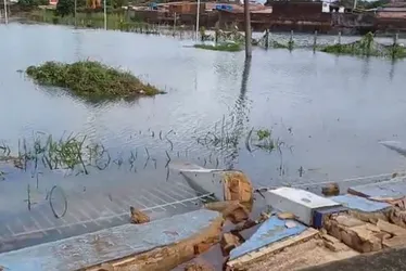 
			
				Parte do muro do Cepa desaba com as chuvas em Maceió; área será isolada
			
			