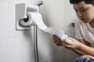 
			
				Por que no Brasil não é recomendado jogar papel higiênico no vaso sanitário?
			
			