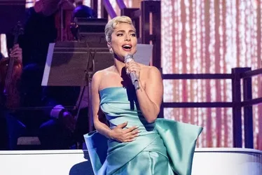 
			
				Saiba por que os fãs de Lady Gaga são chamados de Little Monsters
			
			