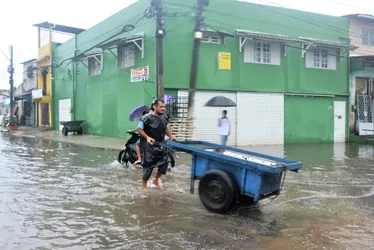 
			
				Sesau alerta população para os riscos do contato com a água das chuvas
			
			