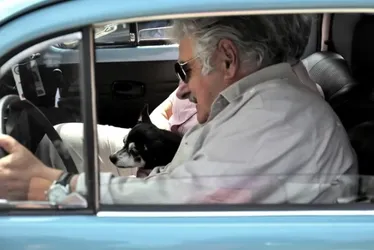 
			
				Último desejo: Mujica pediu para ser enterrado ao lado de sua cadela
			
			