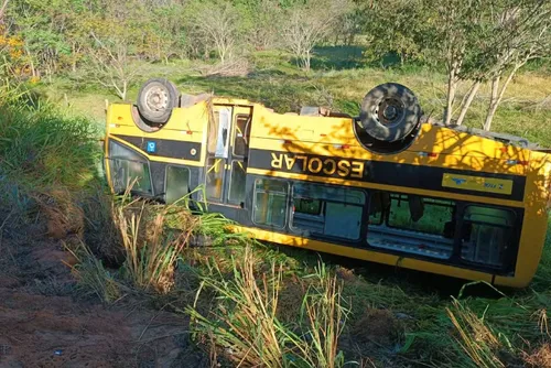 
				Acidente com micro-ônibus escolar deixa oito pessoas feridas
			
			