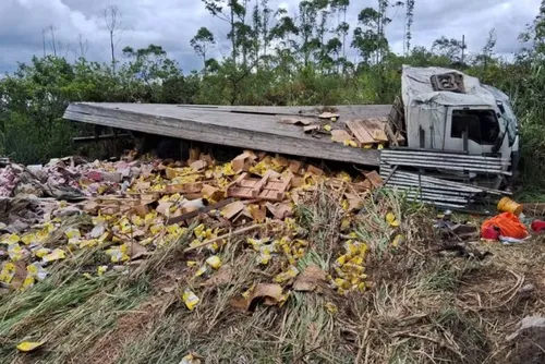 
				Batida entre caminhões e carros deixa uma pessoa morta e quatro feridas
			
			