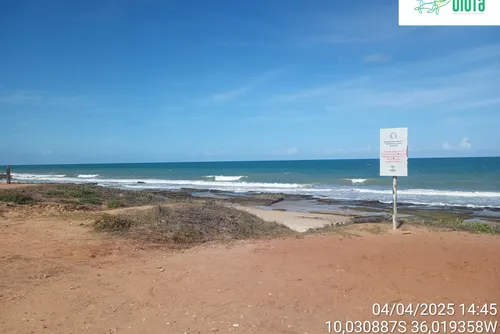 
				Biota divulga imagens de placas e rebate fala de Carlinhos Maia sobre ausência de sinalização; veja fotos!
			
			