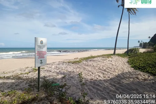 
				Biota divulga imagens de placas e rebate fala de Carlinhos Maia sobre ausência de sinalização; veja fotos!
			
			