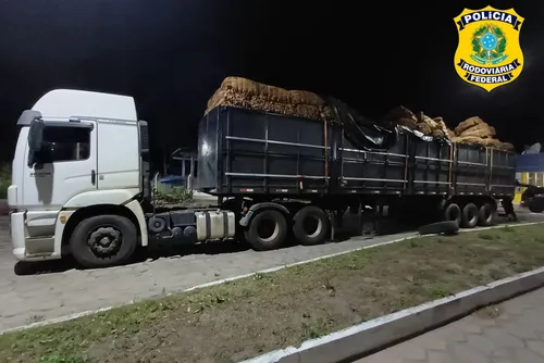
				Carga com 27 toneladas de tabaco sem nota fiscal é apreendida; multa pode chegar a R$ 100 mil
			
			