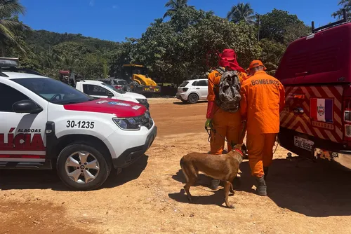 
				Caso Ana Beatriz: polícia amplia buscas no litoral norte de Alagoas
			
			