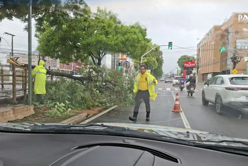 
				Veja imagens dos estragos causados pelas fortes chuvas em Maceió
			
			