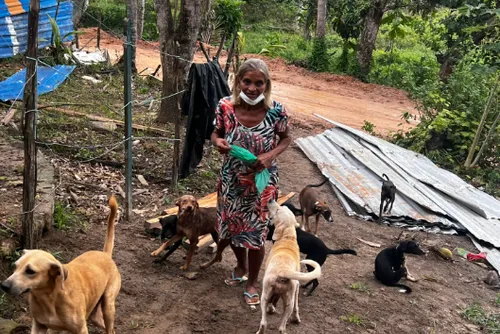 
				Chuvas destroem abrigo e colocam mais de 130 animais em risco; proprietária pede ajuda
			
			