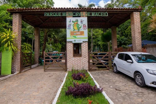 
				Colmeia interdita temporariamente Parque Municipal de Maceió
			
			