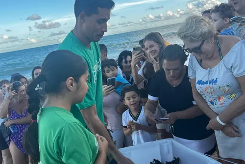 
				De volta ao mar de Guaxuma: ação marca nascimento e soltura de filhotes de tartarugas
			
			