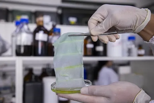 
				Embalagem 'mágica' muda de cor para avisar se peixe está estragado
			
			