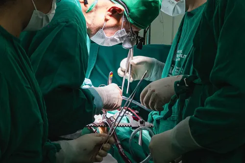 
				Hospital do Coração Alagoano realiza terceiro transplante cardíaco
			
			