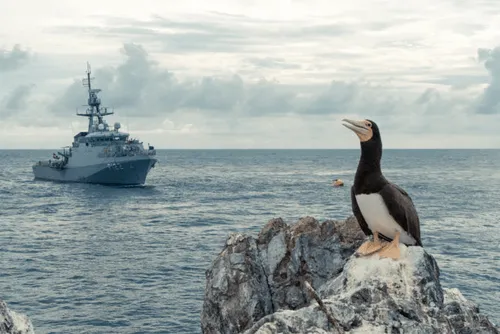
				Navio-Patrulha Araguari atraca em Maceió após missão de apoio à ciência e soberania no Atlântico Sul
			
			