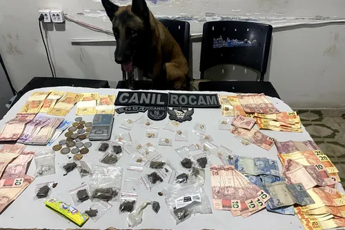 
				PM apreende drogas com auxílio de cães farejadores durante ações no Agreste
			
			