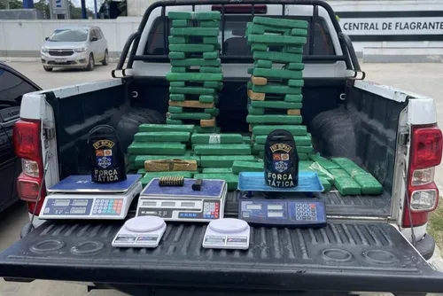 
				PM de Alagoas apreende 130 kg de drogas durante operação integrada
			
			