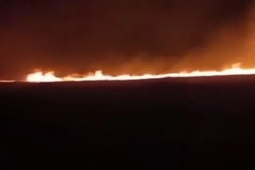 
				Vídeo: incêndio em vegetação assusta moradores em Marechal Deodoro
			
			