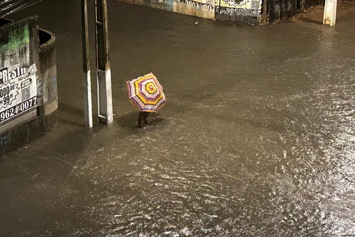 
				Veja imagens dos estragos causados pelas fortes chuvas em Maceió
			
			