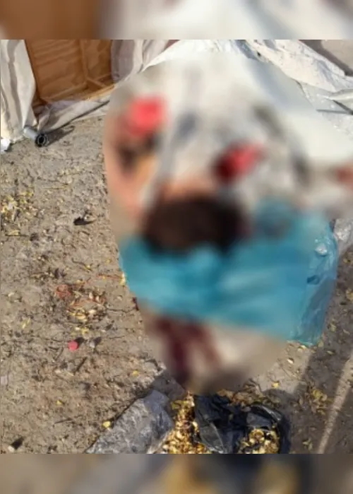 
			
				Mulher é encontrada morta enrolada em lona na calçada de escola na Jatiúca
			
			