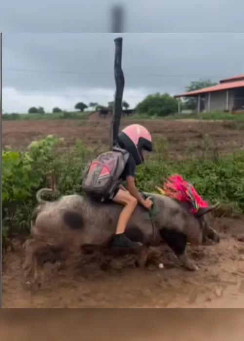 
			
				Quem é o menino que monta porca no Sertão de Alagoas e já tem mais de 1 milhão de seguidores?
			
			