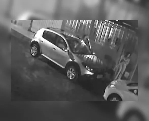 Vídeo: pit-bull invade casa com crianças e ataca cachorro