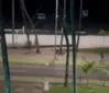 ‘Guerra de rojão’ assusta moradores e turistas na Ponta Verde; SSP identifica suspeitos imagem