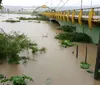 São Miguel dos Campos tem 222 desabrigados após transbordamento de rio imagem