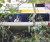 Neblina e chuva: remoção de ônibus na Serra da Barriga segue neste sábado imagem