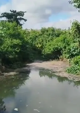 Ladeira com jacarés e jiboia conquista moradores e vira ponto turístico em Arapiraca