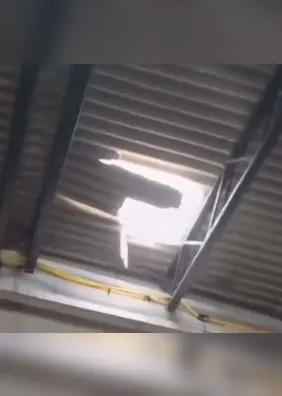 Vídeo: trabalhador cai após telhado ceder no mercado público de Marechal Deodoro