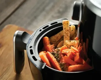 1ª airfryer tinha o tamanho de canil e era de madeira com tela de galinheiro